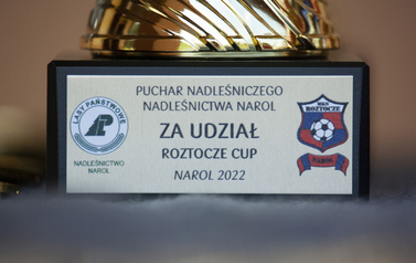 Turnieje piłkarskie dzieci i młodzieży