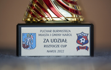 Turnieje piłkarskie dzieci i młodzieży