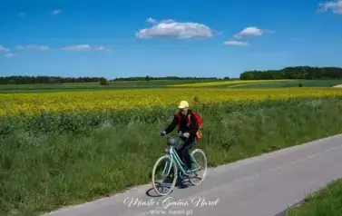 Narolska Maj&oacute;wka na Rowerze 2025 6