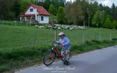 Narolska Maj&oacute;wka na Rowerze 2025 96