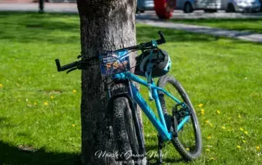 Narolska Maj&oacute;wka na Rowerze 2025 163