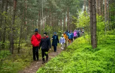 Rodzinny Rajd Pieszy &bdquo;Tropem Żurawia&rdquo; 11