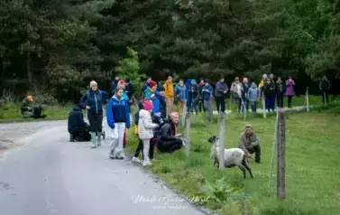 Rodzinny Rajd Pieszy &bdquo;Tropem Żurawia&rdquo; 46