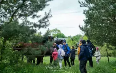 Rodzinny Rajd Pieszy &bdquo;Tropem Żurawia&rdquo; 66
