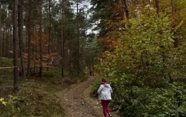 Bieg na Orientację po Wielkim Dziale 2025 79