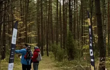 Bieg na Orientację po Wielkim Dziale 2025 109