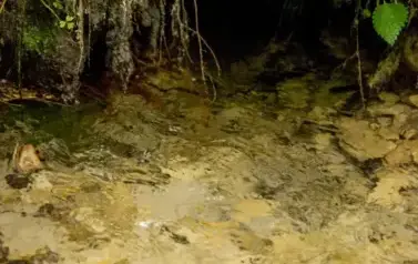 Rzeka Tanew - tzw. Pawelce w okolicy Woli Wielkiej (2009)