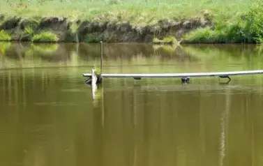 Rzeka Tanew - tzw. Pawelce w okolicy Woli Wielkiej (2009)