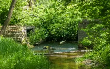 Rzeka Tanew - tzw. Pawelce w okolicy Woli Wielkiej (2009)