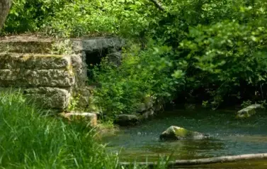 Rzeka Tanew - tzw. Pawelce w okolicy Woli Wielkiej (2009)