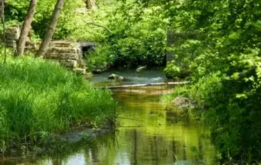 Rzeka Tanew - tzw. Pawelce w okolicy Woli Wielkiej (2009)