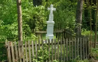 Rzeka Tanew - tzw. Pawelce w okolicy Woli Wielkiej (2009)