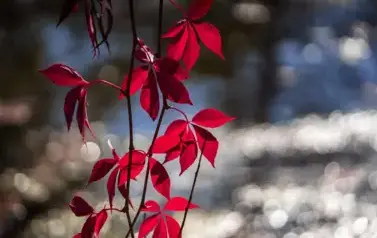 Rzeka Tanew - źr&oacute;dła w Łukawicy (2023)