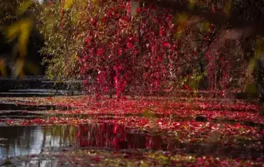 Rzeka Tanew - źr&oacute;dła w Łukawicy (2023)