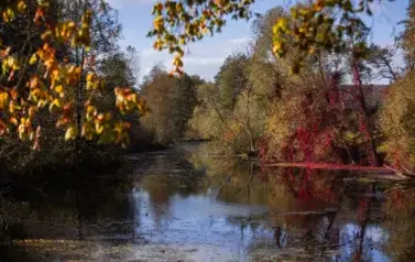 Rzeka Tanew - źr&oacute;dła w Łukawicy (2023)