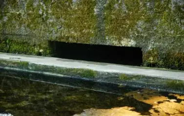 Rzeka Tanew - źr&oacute;dła w Łukawicy (2009)