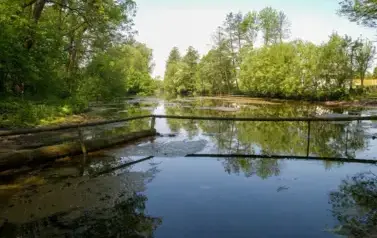 Rzeka Tanew - źr&oacute;dła w Łukawicy (2009)