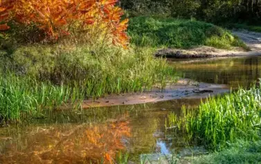 Rzeka Tanew - tzw. stawiska nad Tanwią w Jędrzej&oacute;wce (2023)