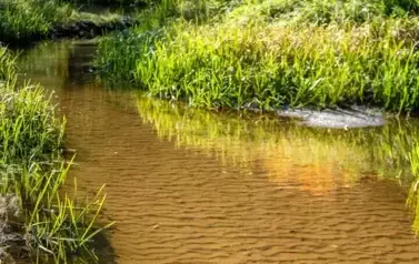 Rzeka Tanew - tzw. stawiska nad Tanwią w Jędrzej&oacute;wce (2023)