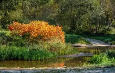 Rzeka Tanew - tzw. stawiska nad Tanwią w Jędrzej&oacute;wce (2023)