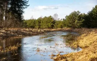 Rzeka Tanew - Narol (2023)