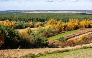 Punkt widokowy Kamienna G&oacute;ra 10