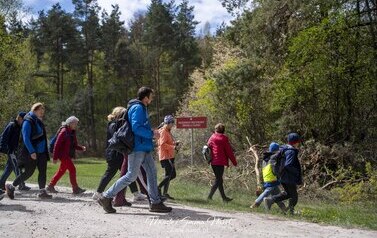 Narolska Maj&oacute;wka - Rodzinny Rajd Pieszy 36