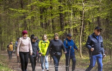 Narolska Maj&oacute;wka - Rodzinny Rajd Pieszy 84