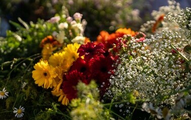Festiwal Kraina Roztocze - Wianki nad Tanwią - 2 dzień 233