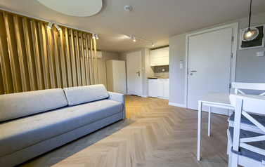 Apartamenty SSM BOJK&Oacute;WKA  25