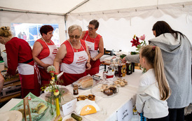 XXII CESARSKO-KR&Oacute;LEWSKI JARMARK GALICYJSKI - DNI NAROLA 2022 - fotorelacja 155