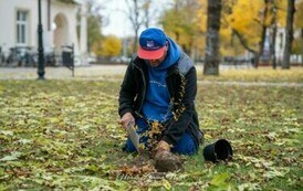 Sadzimy drzewa i krzewy miododajne  5
