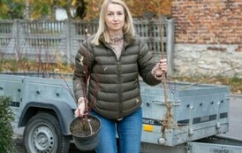 Sadzimy drzewa i krzewy miododajne  12