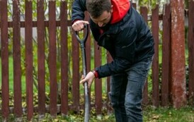 Sadzimy drzewa i krzewy miododajne  13