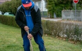 Sadzimy drzewa i krzewy miododajne  16