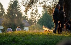 Festiwal Kraina Roztocze - Wianki nad Tanwią - 2 dzień 168