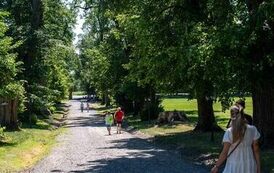 Odkrywanie dziedzictwa Roztocza &ndash; Pałac Łosi&oacute;w i cerkiew w Ł&oacute;wczy - 3 dzień Kraina Roztocze 1