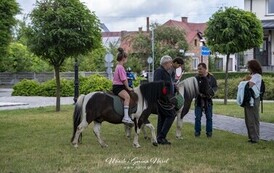 XXVI Jarmark Galicyjski &ndash; Dni Narola 2026 | Jarmark pełen tradycji i atrakcji 110