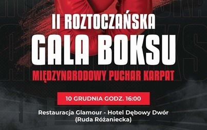 Zdjęcie do II Roztoczańska Gala Boksu w gminie Narol 10.12