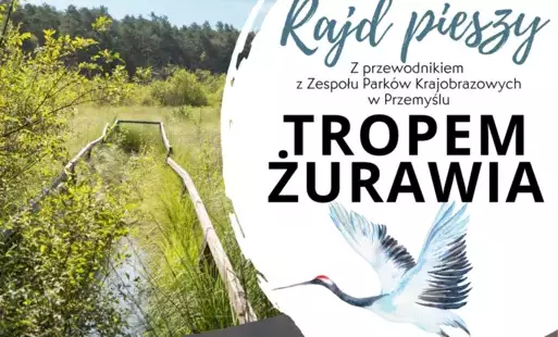 Zdjęcie artykułu z dnia 06-05-2025