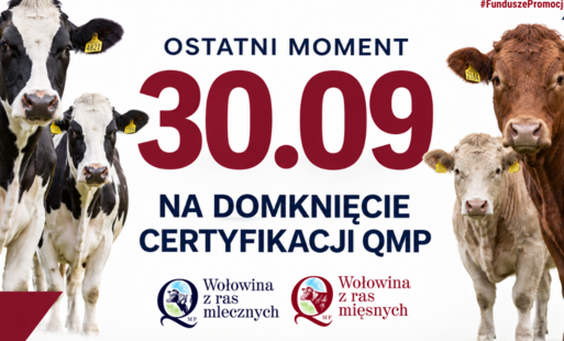 certyfikaty